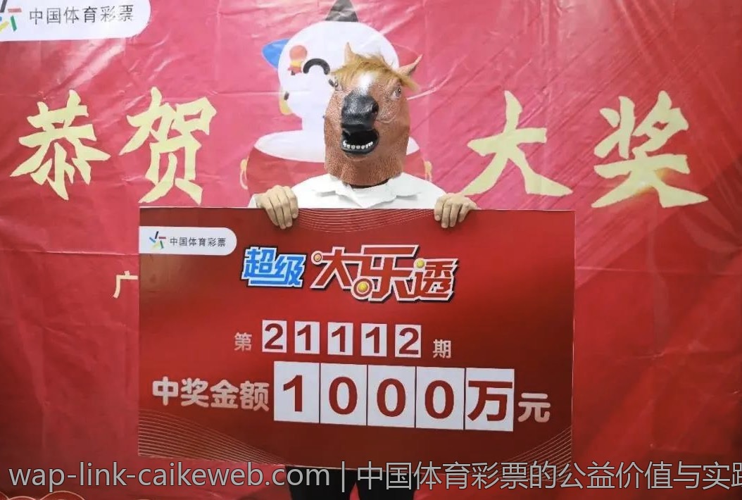 中国体育彩票的公益价值与实践意义
