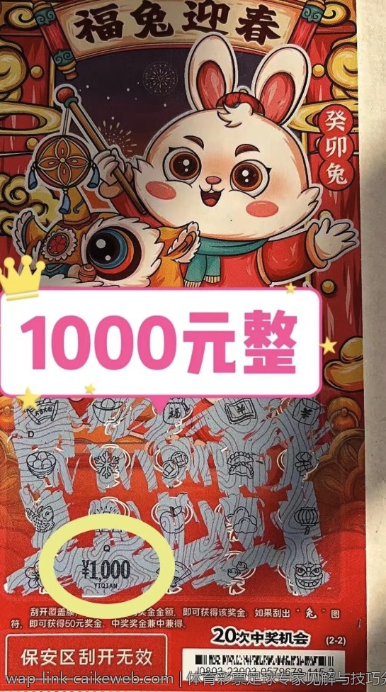 体育彩票足球专家见解与技巧分享